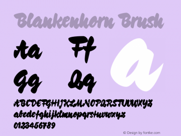 Blankenhorn-Brush Protected webfont for CSS @font-face use ONLY图片样张