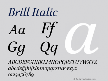 Brill Italic Version 4.00 Build 073图片样张