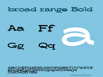 broad range Bold Version 1.001图片样张