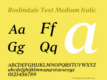 Roslindale Text Medium Italic Version 1.0图片样张