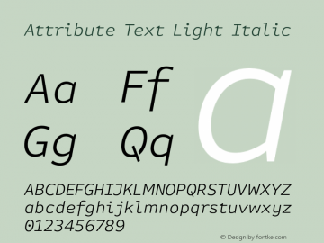 Attribute Text Light Italic Version 7.601, build 1028, FoPs, FL 5.04图片样张