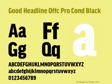 Good Head Offc Pro Cond Black Version 7.504; 2010; Build 1022图片样张
