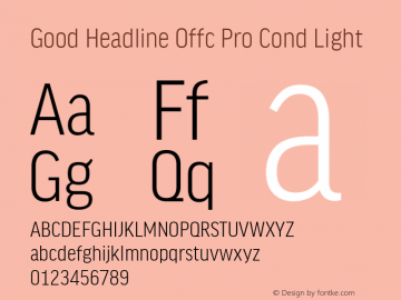 Good Head Offc Pro Cond Light Version 7.504; 2010; Build 1022图片样张