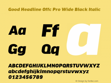 Good Head Offc Pro Wide Black Italic Version 7.504; 2010; Build 1022图片样张