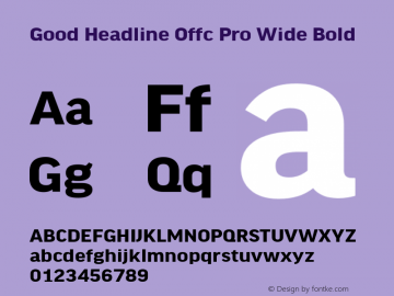 Good Head Offc Pro Wide Bold Version 7.504; 2010; Build 1022图片样张