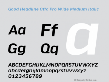 Good Head Offc Pro Wide Medium Italic Version 7.504; 2010; Build 1022图片样张
