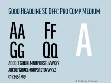Good Head SC Offc Pro Comp Medium Version 7.504; 2014; Build 1020图片样张