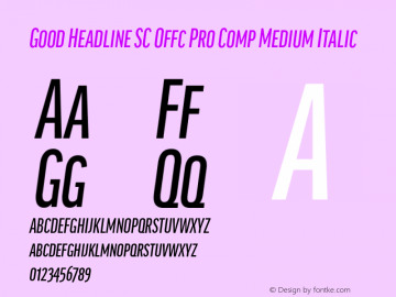 Good Head SC Offc Pro Comp Medium Italic Version 7.504; 2014; Build 1020图片样张