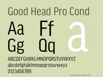 Good Head Pro Cond Version 7.60图片样张