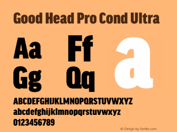 Good Head Pro Cond Ultra Version 7.60图片样张