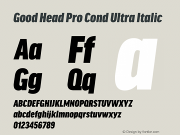 Good Head Pro Cond Ultra It Version 7.60图片样张