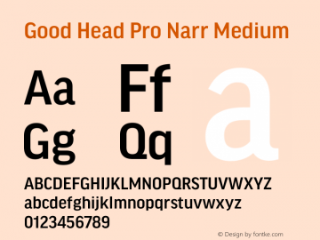 Good Head Pro Narr Medium Version 7.60图片样张