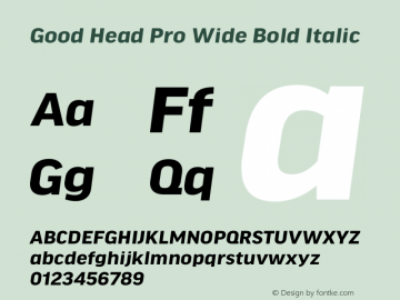 Good Head Pro Wide Bold Italic Version 7.60图片样张
