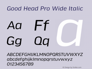 Good Head Pro Wide Italic Version 7.60图片样张