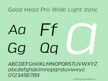 Good Head Pro Wide Light Italic Version 7.60图片样张