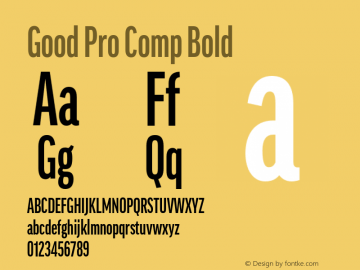 Good Pro Comp Bold Version 7.60图片样张