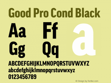 Good Pro Cond Black Version 7.60图片样张