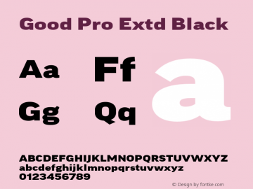 Good Pro Extd Black Version 7.60图片样张