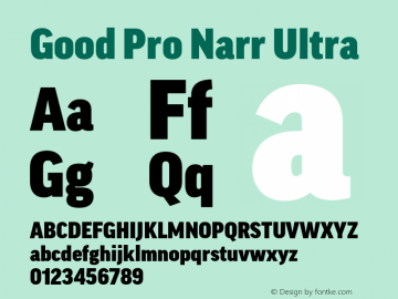 Good Pro Narr Ultra Version 7.60图片样张