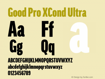 Good Pro XCond Ultra Version 7.60图片样张