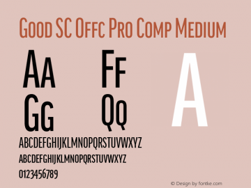 Good SC Offc Pro Comp Medium Version 7.504; 2014; Build 1020图片样张