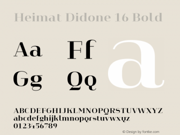 Heimat Didone 16 Bold Version 1.000;PS 001.000;hotconv 1.0.70;makeotf.lib2.5.58329图片样张