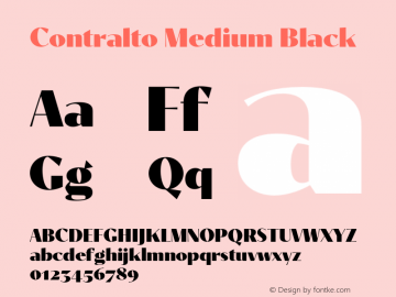 Contralto Medium Black Version 1.000图片样张