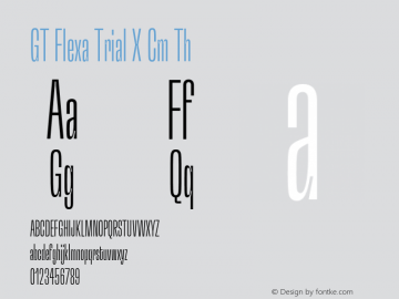 GT Flexa Trial X Cm Th Version 3.003;FEAKit 1.0图片样张