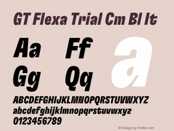 GT Flexa Trial Cm Bl It Version 3.003;FEAKit 1.0图片样张