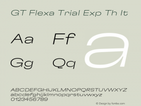 GT Flexa Trial Exp Th It Version 3.003;FEAKit 1.0图片样张