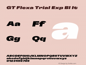 GT Flexa Trial Exp Bl It Version 3.003;FEAKit 1.0图片样张