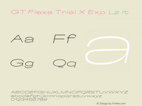 GT Flexa Trial X Exp Lz It Version 3.003;FEAKit 1.0图片样张