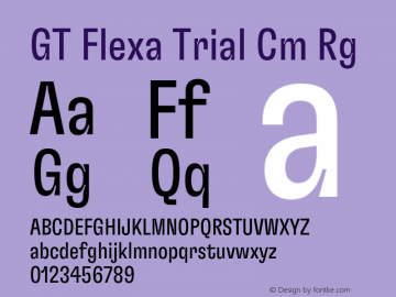 GT Flexa Trial Cm Rg Version 3.003;FEAKit 1.0图片样张
