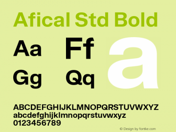 AficalStd-Bold Version 2.000;FEAKit 1.0图片样张