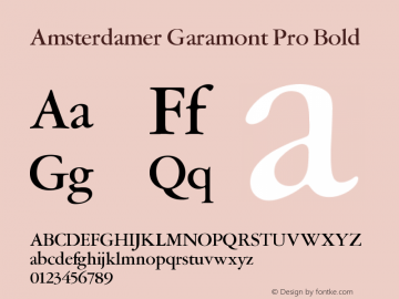 Amsterdamer Garamont Pro Bold Version 1.000 | web-ttf图片样张