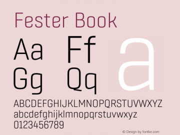 Fester Book Version 1.000;FEAKit 1.0图片样张