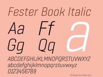 Fester Book Italic Version 1.000;FEAKit 1.0图片样张