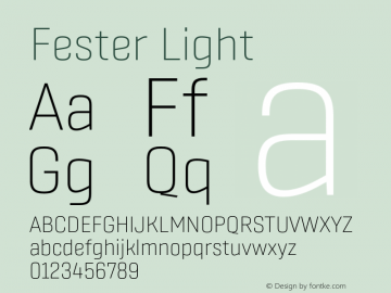 Fester Light Version 1.000;FEAKit 1.0图片样张