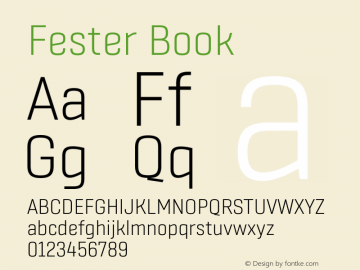 Fester Book Version 1.000图片样张