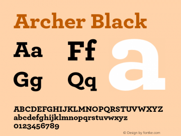 Archer Black Version 1.302 Pro图片样张