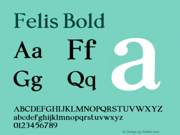 Felis Bold Version 1.000图片样张