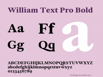 William Text Pro Bld Version 2.0; 2019 | w-rip DC20190130图片样张