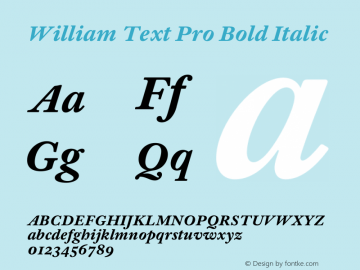 William Text Pro Bld Ita Version 2.0; 2019 | w-rip DC20190130图片样张
