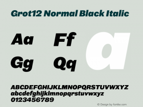 Grot12 Normal Black Italic Version 1.001;PS 1.1;hotconv 1.0.88;makeotf.lib2.5.647800图片样张