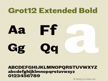 Grot12 Extended Bold Version 1.002;PS 1.2;hotconv 1.0.88;makeotf.lib2.5.647800图片样张