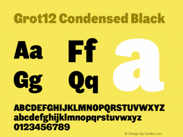 Grot12 Condensed Black Version 1.001;PS 1.1;hotconv 1.0.88;makeotf.lib2.5.647800图片样张