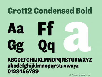 Grot12 Condensed Bold Version 1.001;PS 1.1;hotconv 1.0.88;makeotf.lib2.5.647800图片样张