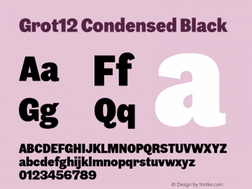 Grot12 Condensed Black Version 1.001;PS 1.1;hotconv 1.0.88;makeotf.lib2.5.647800图片样张