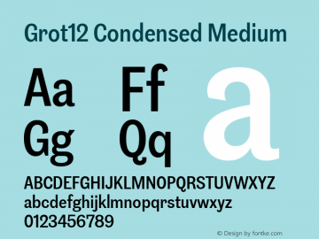 Grot12 Condensed Medium Version 1.001;PS 1.1;hotconv 1.0.88;makeotf.lib2.5.647800图片样张