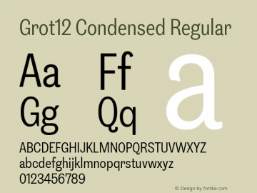 Grot12 Condensed Regular Version 1.001;PS 1.1;hotconv 1.0.88;makeotf.lib2.5.647800图片样张